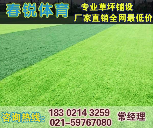 扬州足球场人造草坪铺设 3