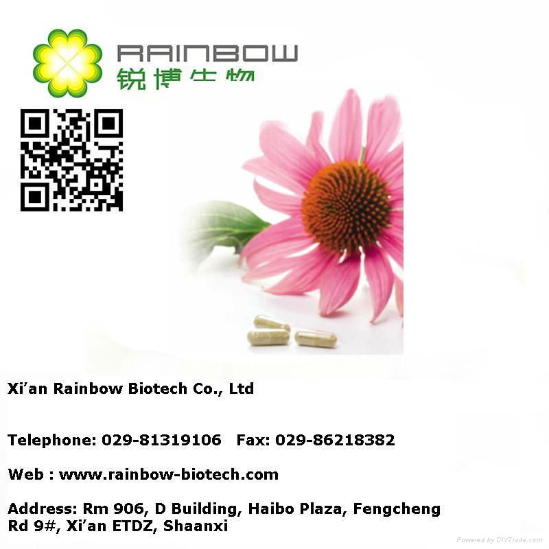 Echinacea extract