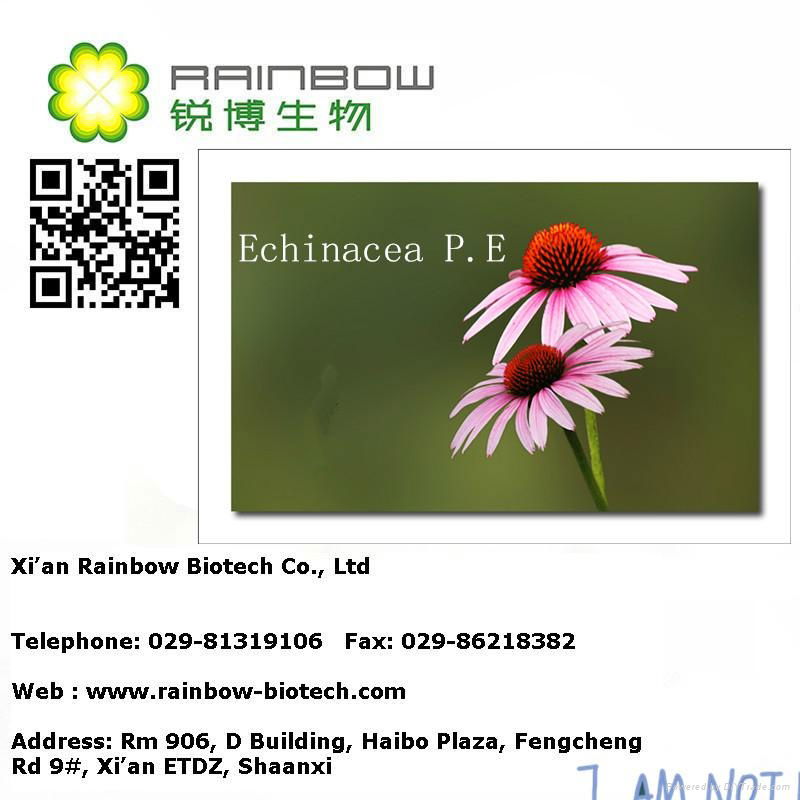 Echinacea extract 2