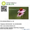 Echinacea extract 2