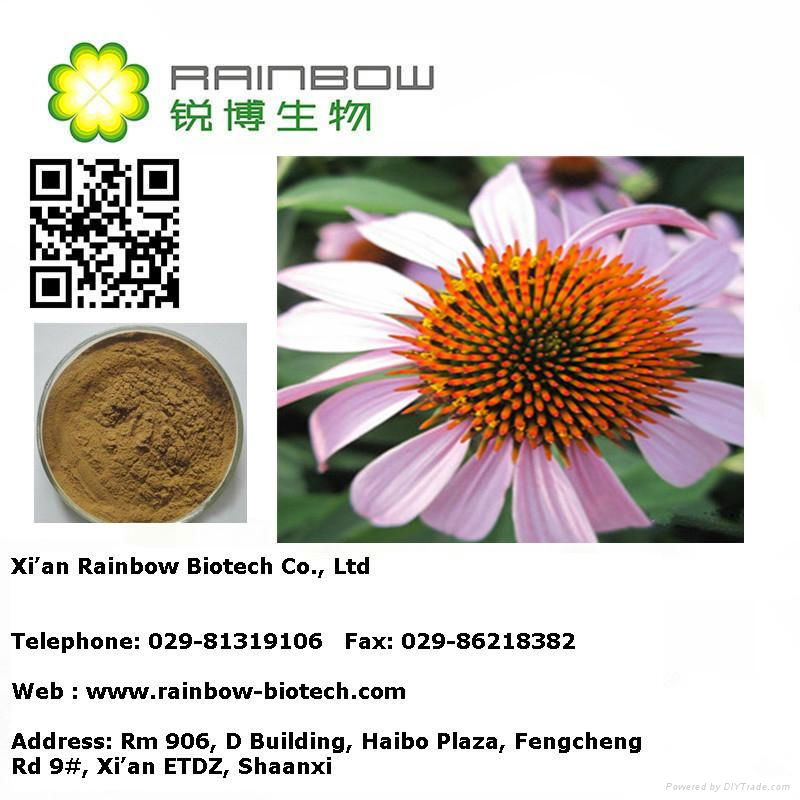 Echinacea extract 3