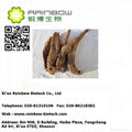 High quality Cistanche Tubulosa Extract  2