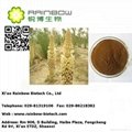 manufacture Natural Cistanche tubulosa Extract 