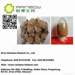 100% Natural Cistanche tubulosa Extract powder 