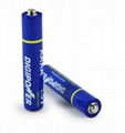 AA Alkaline Battery 1