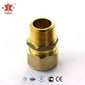 F1 brass compression fitting male straight 3