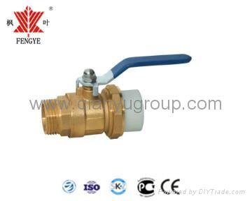 Brass Gate Valve - Ball Valve-Brass Fitting 3