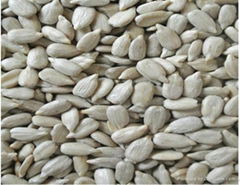 Sunflower seeds 