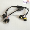 Automotive harness