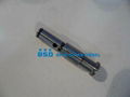 Unit Pump Valve Element  1