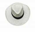 Cowboy straw hat 3