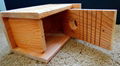 Quality BlueBird Houses with Predator Guard Natural Cedar Hand Made