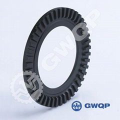 ABS Ring Gear GW-528 FOR auto wheel hub