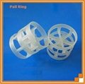 Plastic Pall Ring 2