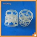 Plastic Pall Ring 3