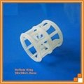 Plastic hoflow ring 1