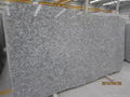 Wave White  Granite countertop and big slab