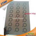 Cheap PVC 125Khz EM4200 Chip RFID Inlay