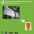 Grade A single PE coated paper for cups 1