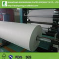 PE coated paper for french fries paper cup 3