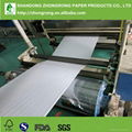 PE coated paper board for fresh milk packaing 2