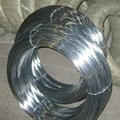 Construction galvanized iron wire in coil