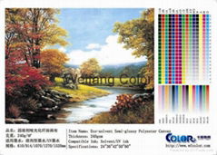 ECO-solvent semi-glossy polyester canvas