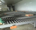 Roller conveyor for packaging line 4