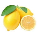 IMPORT AGENT OF FRESH LEMON FROM SOUTH AFRICA 1