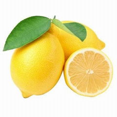 IMPORT AGENT OF FRESH LEMON FROM SOUTH AFRICA