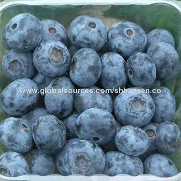 Import Agent of Frozen Wild Blueberry for Customs Clearance