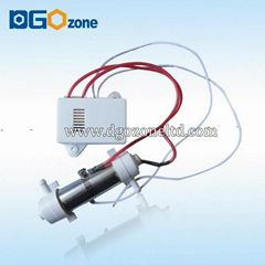 500mg small glass tube ozone generator for cleaning vegetables