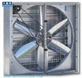 DHF greenhouse or pultry house Exhaust Fan / Ventilation Fan /Box Fan / Cone Fan 2