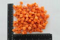 Frozen carrot onion frozen vegetables