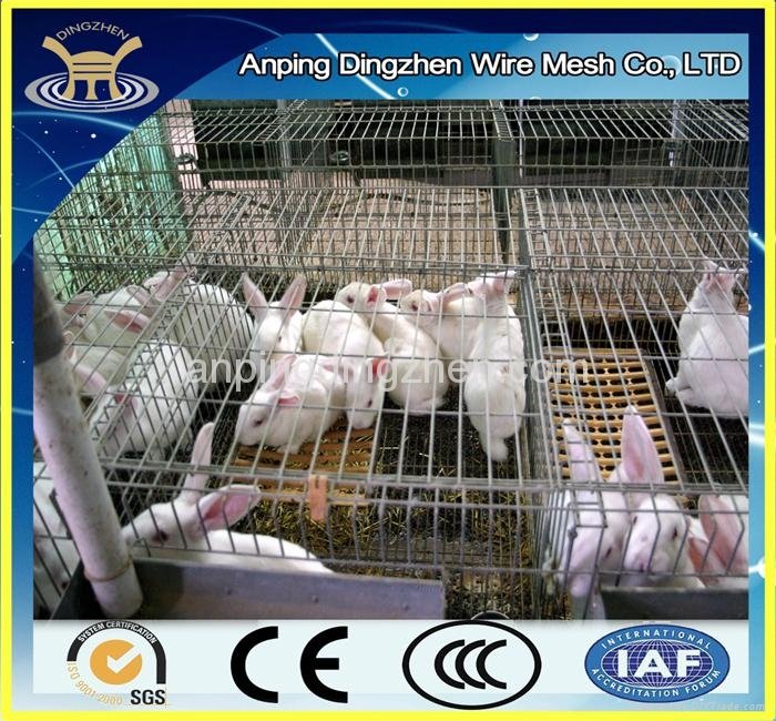 rabbit cage with high quality and low price