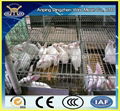 rabbit cage with high quality and low price 