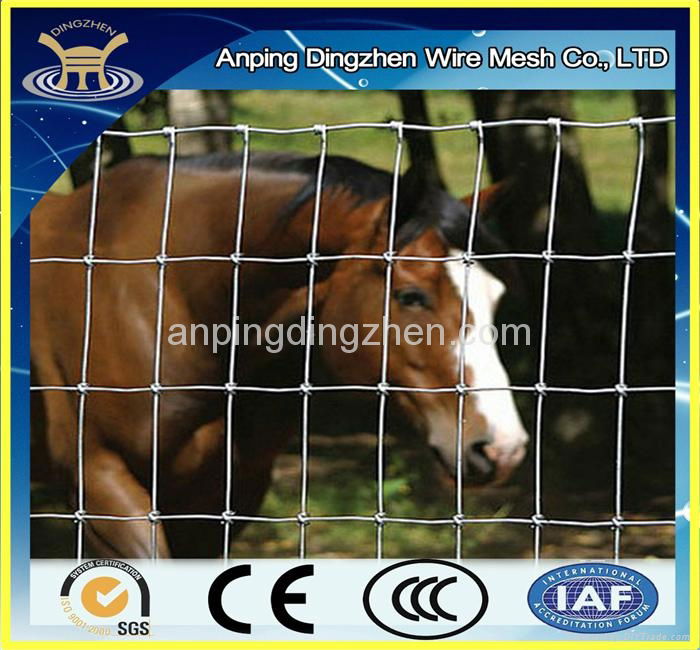 Cattle fence for sale with low price 