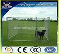 high security dog cage 3