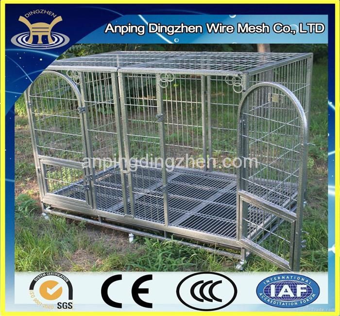 high security dog cage 5