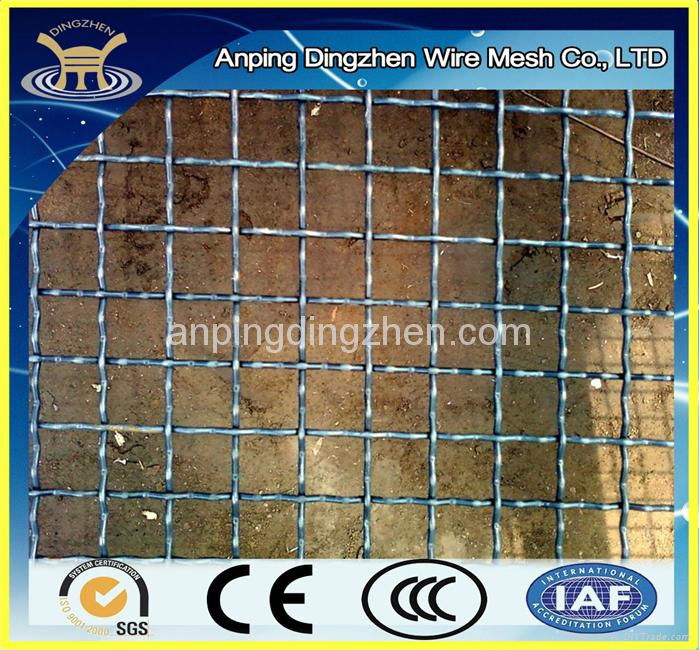 crimped wire mesh  3