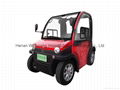 Two Seats Mini Electric Car from China