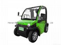 Two Seats Mini Electric Car from China 3