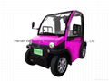 Two Seats Mini Electric Car from China 5