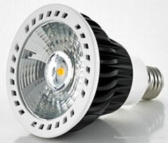 PAR30 LED