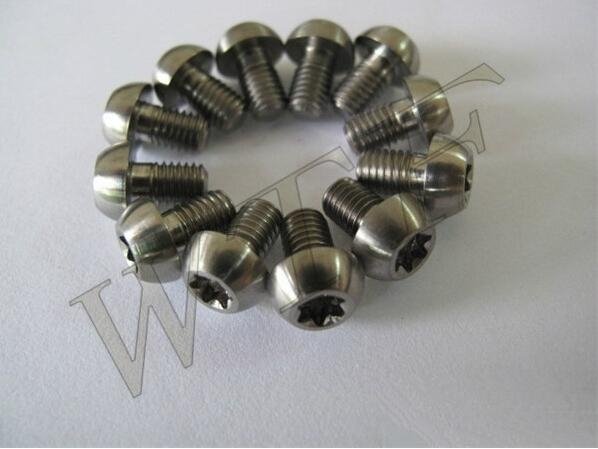 titanium disc rotor bolt/screw GR5