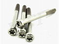 titanium torx head cap bolt and screw