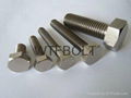 titanium hex bolt DIN933 DIN931