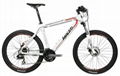  E-Mountain Bikes MNL1 26er 1