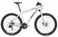 E-Mountain Bikes MNL1 29er