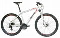 E-Mountain Bikes MNL2 29er